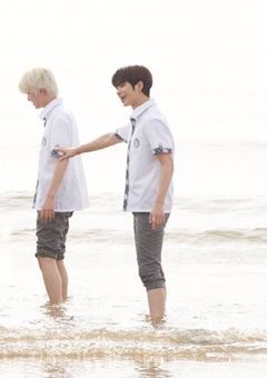 ライオンも寂しいと死ぬらしい