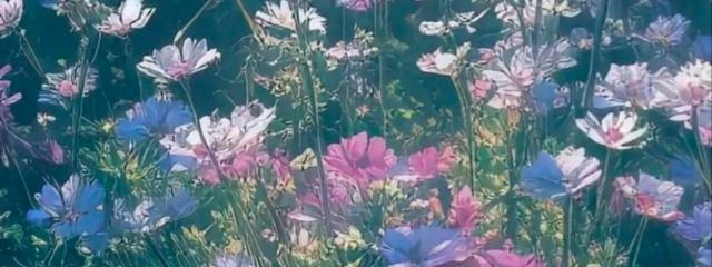 臣さんの壁紙画像