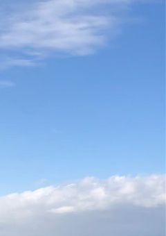 キミの神様になりたかった。