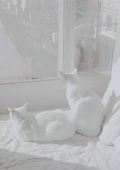 ꒷꒦🤍 そっと私を抱き殺して 🤍꒦꒷