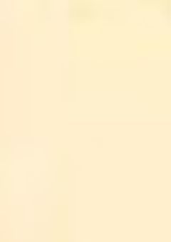 【つ🅰️】村人Bを攻略したい!