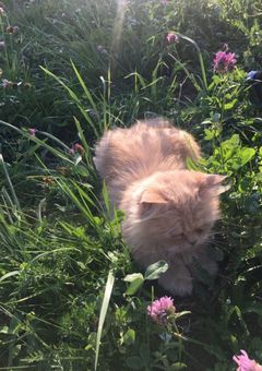 친구🥺｡.໒꒱°*