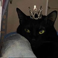 푸키🍓さんのアイコン画像