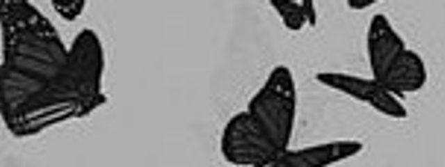 ᅠᅠᅠᅠᅠᅠᅠさんの壁紙画像