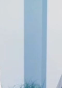 参加型