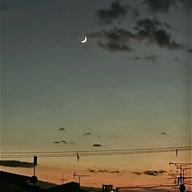 naru.さんのアイコン画像