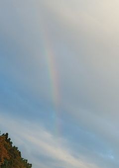 青い監獄で私は…(ブルーロック)