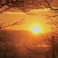 あっさんさんのアイコン画像