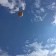 おひめさんのアイコン画像