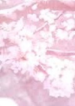 暁山瑞希の下の子はニーゴKAITOに好かれる？