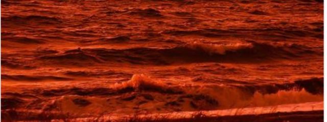 🐬🦋❄️さんの壁紙画像