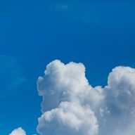 🐬🦋❄️さんのアイコン画像