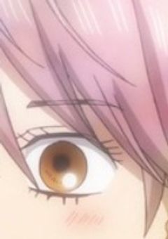 太一の彼女、武装探偵社