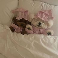 Mhaさんのアイコン画像