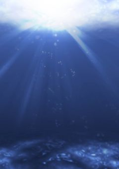 🔍“愛され方”__検索__