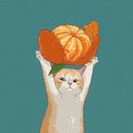 🍊さんのアイコン画像