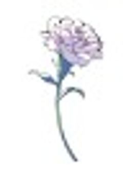 ニーゴの一人は怪盗キッドの相棒でした