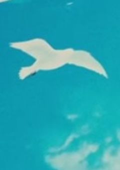 もしも――が消えてしまうならば