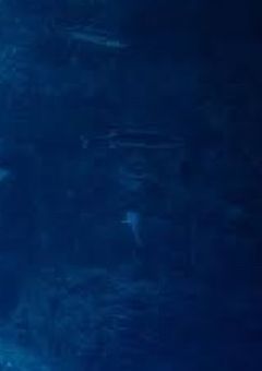 # 君 と 溺 れ る ま で 。