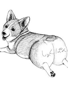 雑談部屋ぁぁぁああ