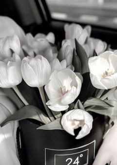 最 年 長 は み ん な の 彼 女 