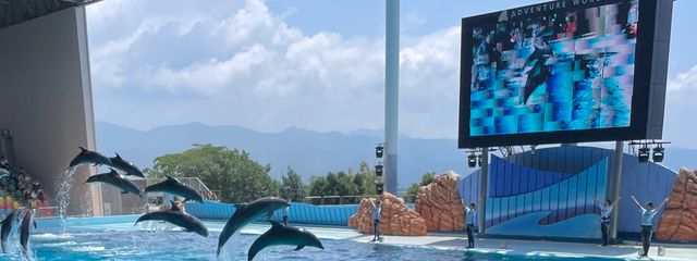 詩音@🐢さんの壁紙画像