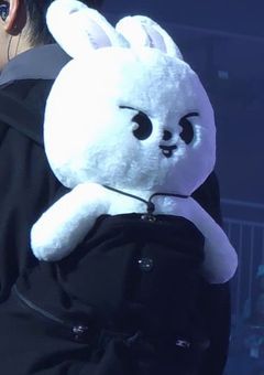 [skz]愛されマンネくんのInstagram