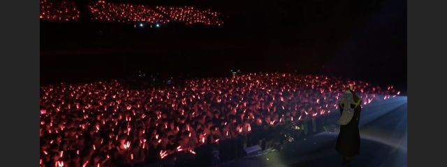 黒柴 爆散休さんの壁紙画像