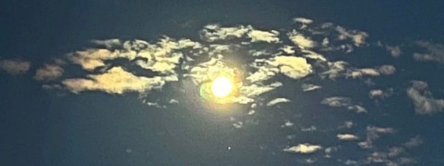 浮世さんの壁紙画像