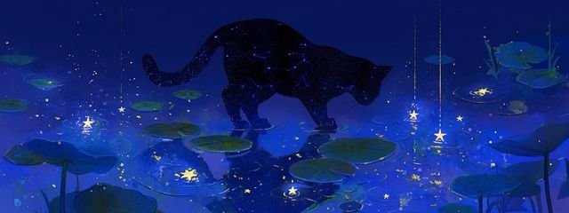 みかんさんの壁紙画像