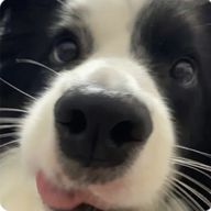 aさんのアイコン画像