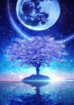 # 月を眺める時間 。【talk room】