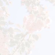 𓈒𓂂𓏸さんのアイコン画像