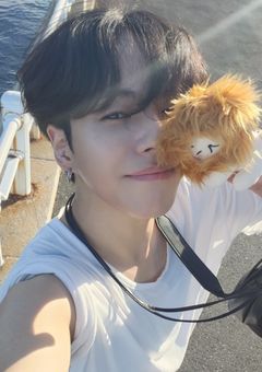 ライオンを拾いました。