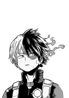 学園の華,ブラコンだった件 