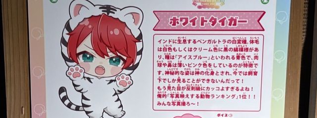 ま ぉ 。さんの壁紙画像
