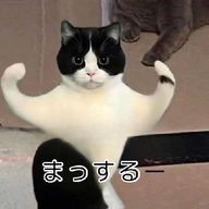 ま ぉ 。さんのアイコン画像