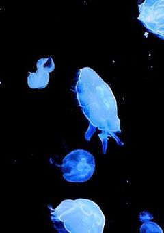 　　Njsj ♢ ヒーロー短編集