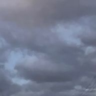 せれんさんのアイコン画像