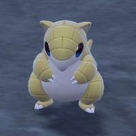 たかっちさんのアイコン画像