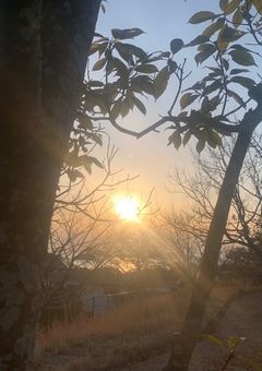 転生したネスト1位のとある少女楽になる日は来るのか