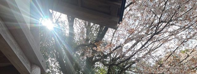 めろんふろーと 🫧❄️🎧さんの壁紙画像