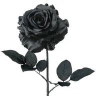 黒 薔 薇　。さんのアイコン画像