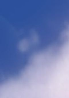 涙息の花