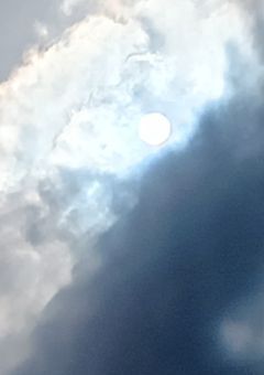 ❦関募❦