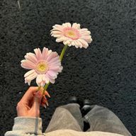 福岡の湯本さんのアイコン画像