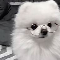 midukiさんのアイコン画像