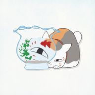AYNさんのアイコン画像