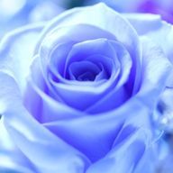 🩵🤍💙°.✧ 𝓢𝓾𝓲 ✧.°💙🤍🩵さんのアイコン画像