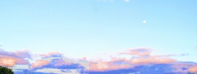 浅葱さんの壁紙画像